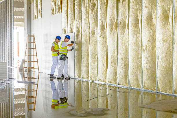 Best Blown-in Insulation  in New Berlin, WI